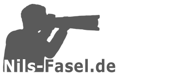 Nils Fasel Logo